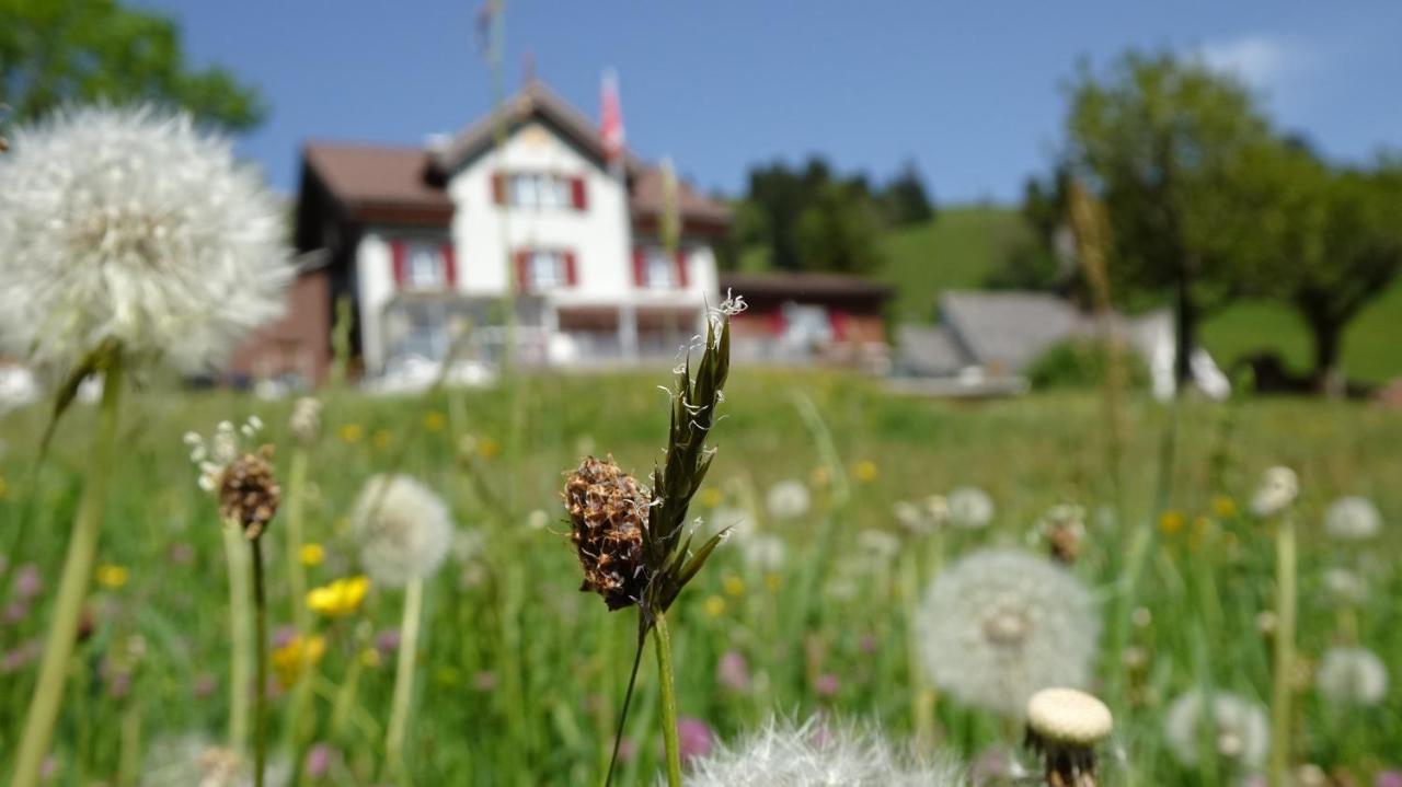 Gasthaus Schwand Engelberg Dış mekan fotoğraf